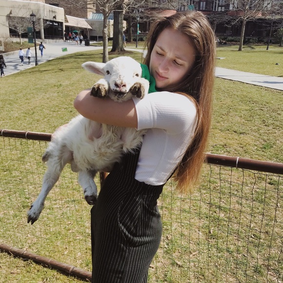 Meet your Posher, Sophia - Picture 6 of 9